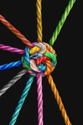 Fear of Judgement or… Fear of Loneliness?