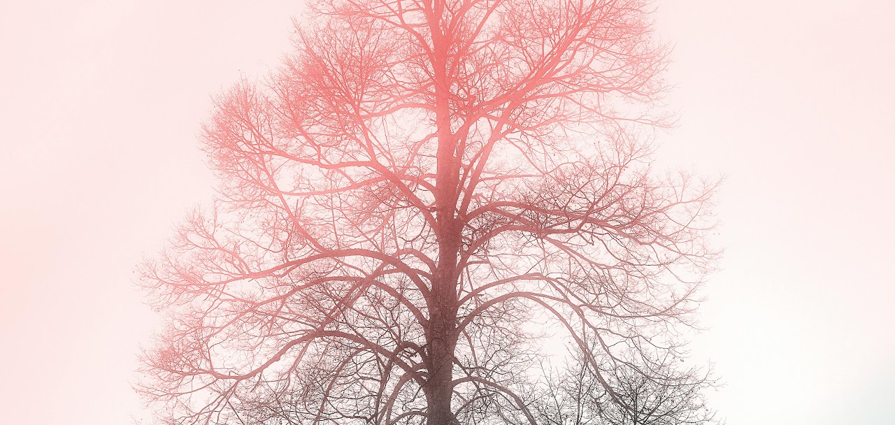 Neuroplasticity: Taking Advantage of the Brain’s Adaptive Potential