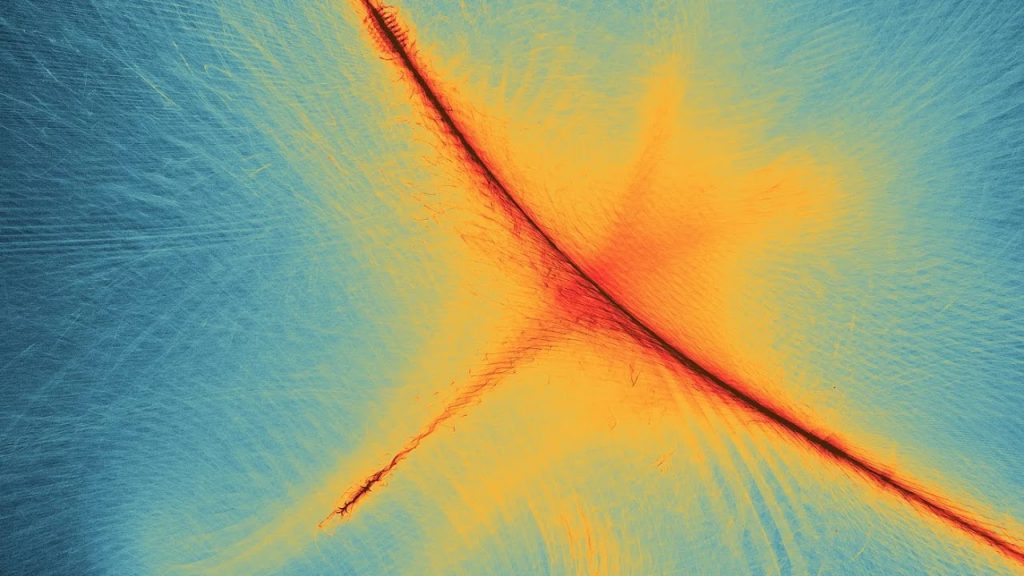 Reprogramming Mind and Body: How Belief, Safety, and Biology Create Real Change